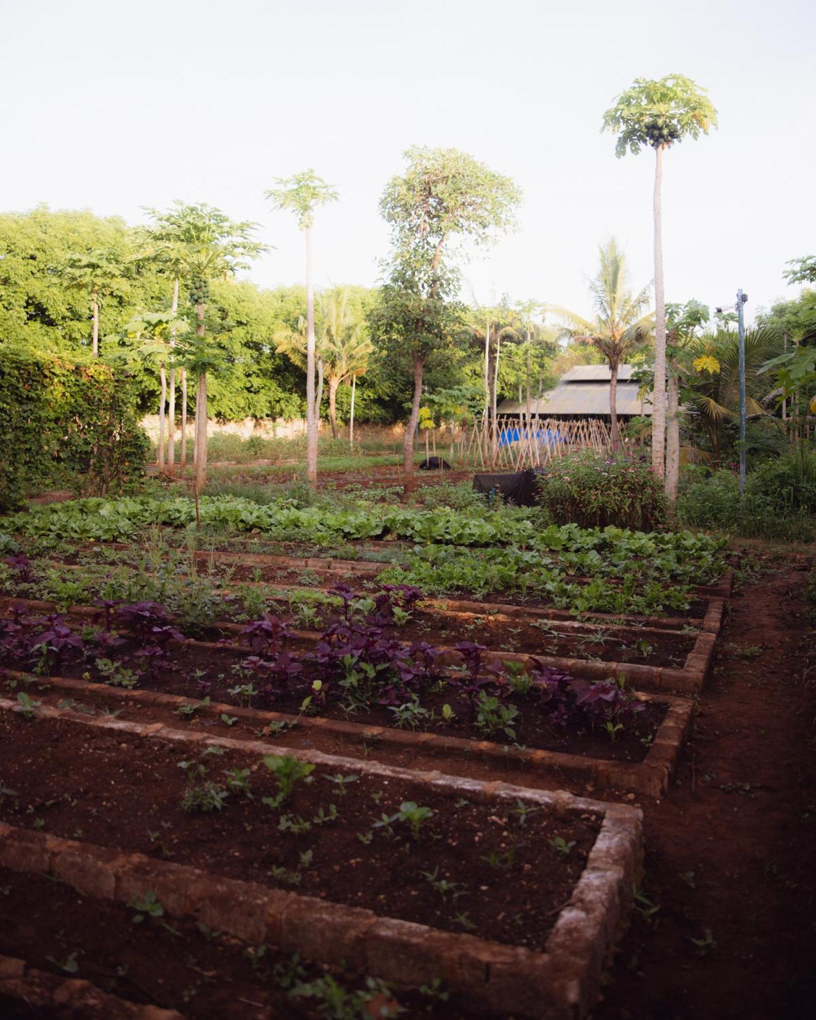 Maringi Sumba By The Sumba Hospitality Foundation Waikelo Zewnętrze zdjęcie